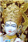 TulsiVivah(291).jpg
